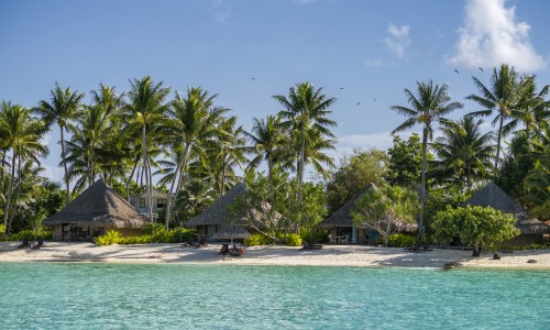 Bungalow Plage Vue Lagon